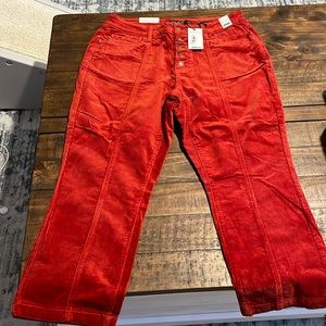 NWT Judy Blue corduroy, rust color, jeans, size 16.